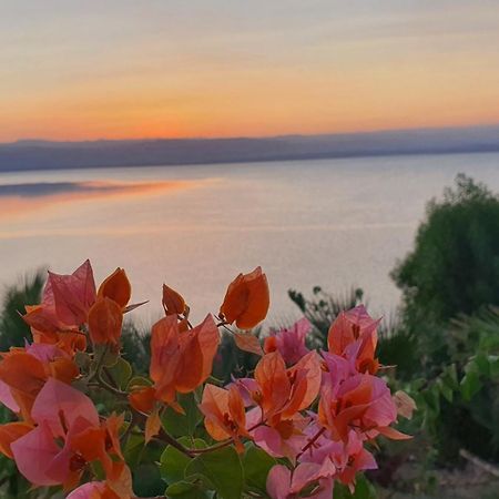 Comfy Stays Sea View Apartments At Deadsea Samarah Resort Sweimeh Eksteriør billede