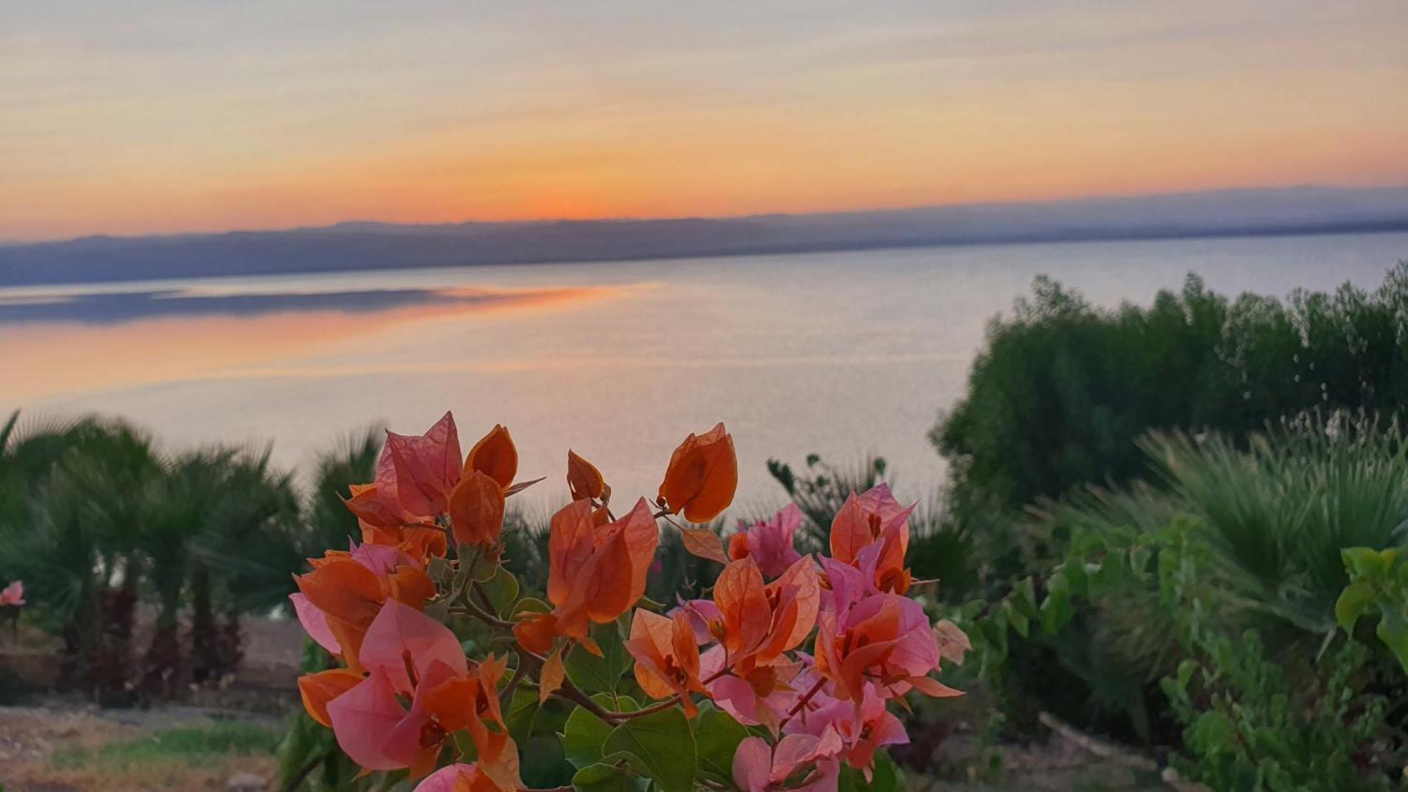 Comfy Stays Sea View Apartments At Deadsea Samarah Resort Sweimeh Eksteriør billede