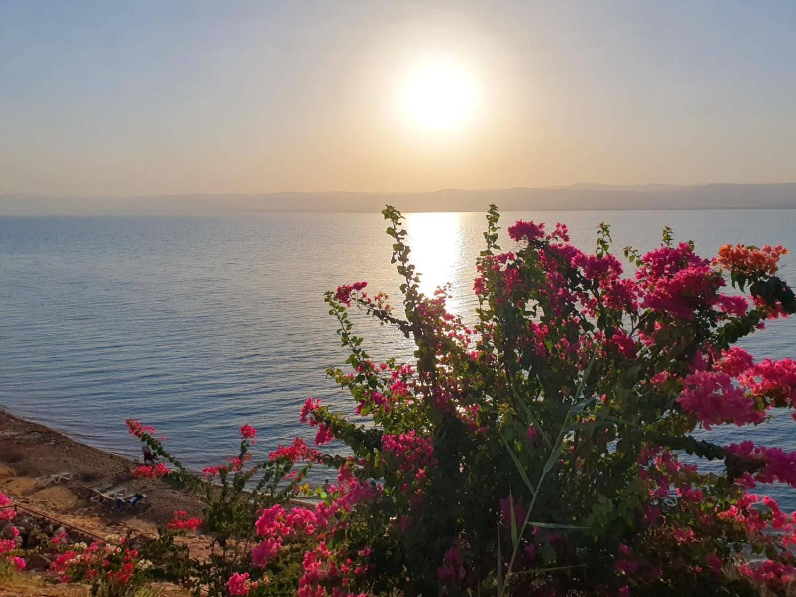Comfy Stays Sea View Apartments At Deadsea Samarah Resort Sweimeh Eksteriør billede